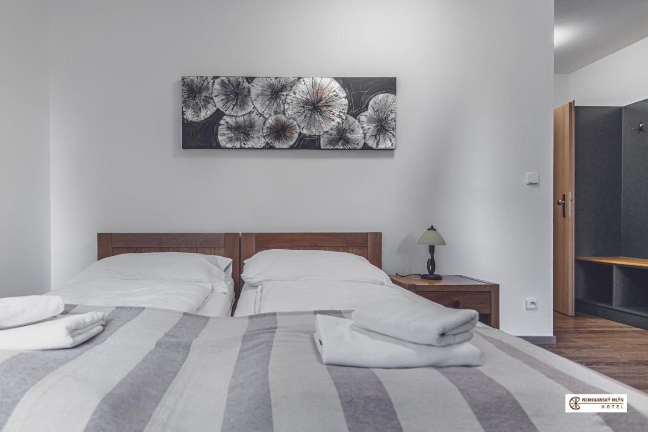 Hotel Nemojansky Mlyn Nemojany Екстериор снимка