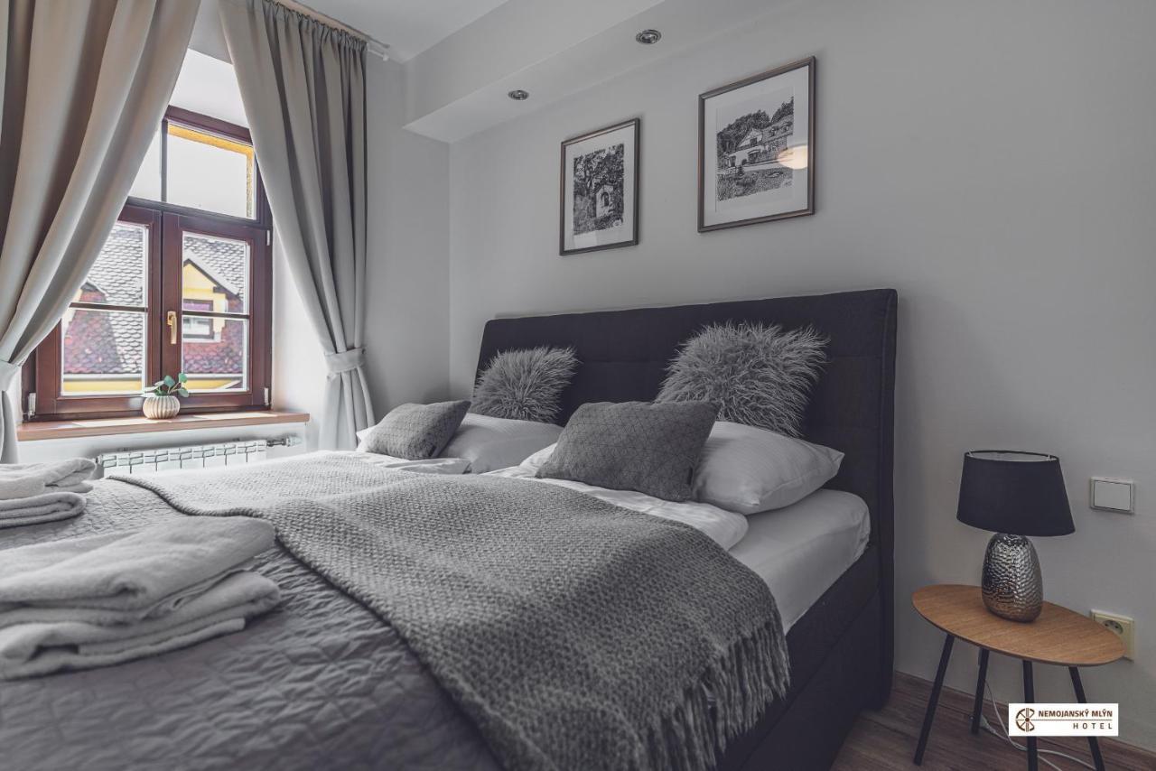 Hotel Nemojansky Mlyn Nemojany Екстериор снимка